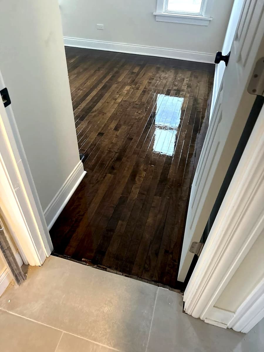 Freshly finished espresso-stained hardwood with a high-gloss coat reflecting a window
