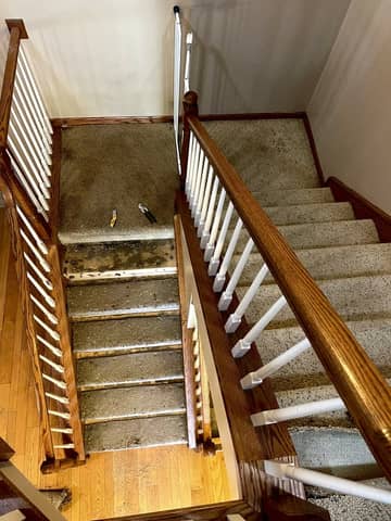 Refinished red oak hardwood floor in an empty room