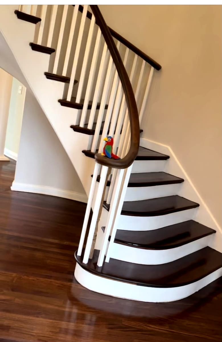 Refinished curved staircase with glossy dark treads and white risers